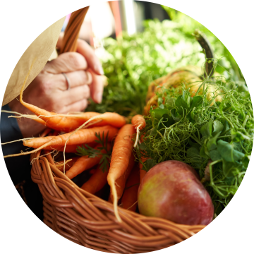 a fresh basket of vegetables