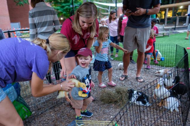 A photo of a young child petting a baby duck at a petting zoo hosted on campus