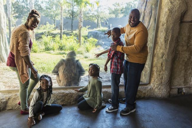 A family with two adults and three children at the zoo, enthusiastically looking through a large glass animal exhibit.