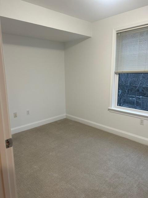 Study with carpeted flooring, window, and overhead lighting