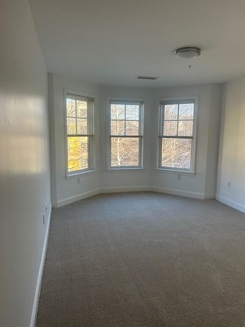 Primary bedroom with carpet flooring and bay windows